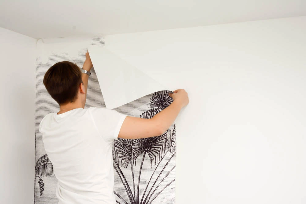 Wallpaper Removal in Dallas TX